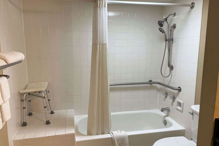 King Room Disability Accessible (1 of 7)