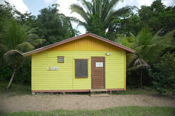 Room 16 of 54