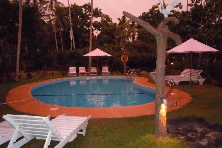 Hotel Pool