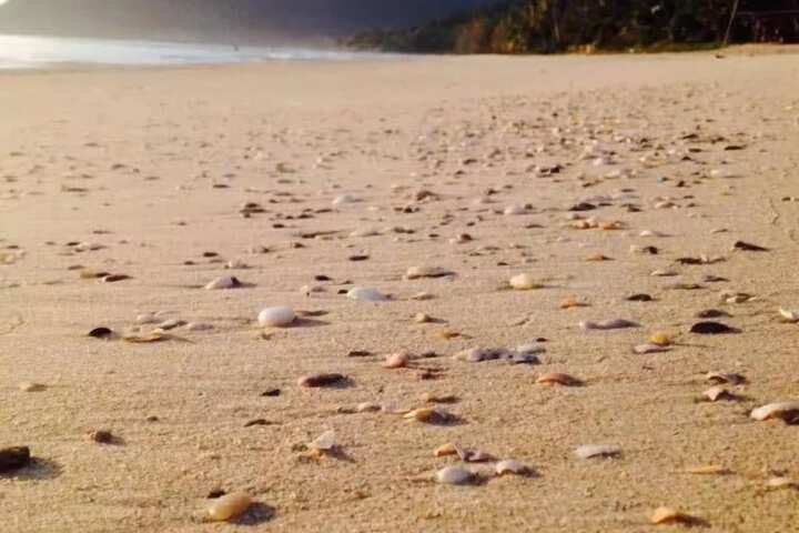Beach 40 of 51