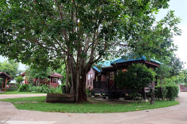 Image of Big Tree Resort