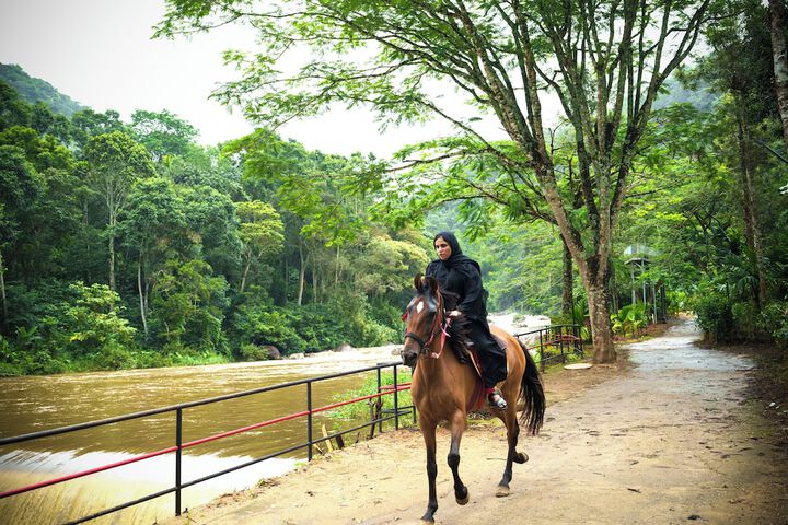 Horseback riding