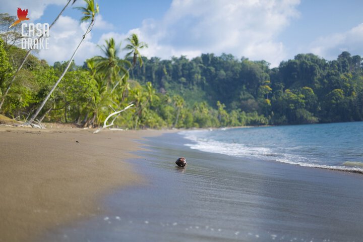 Beach 96 of 107