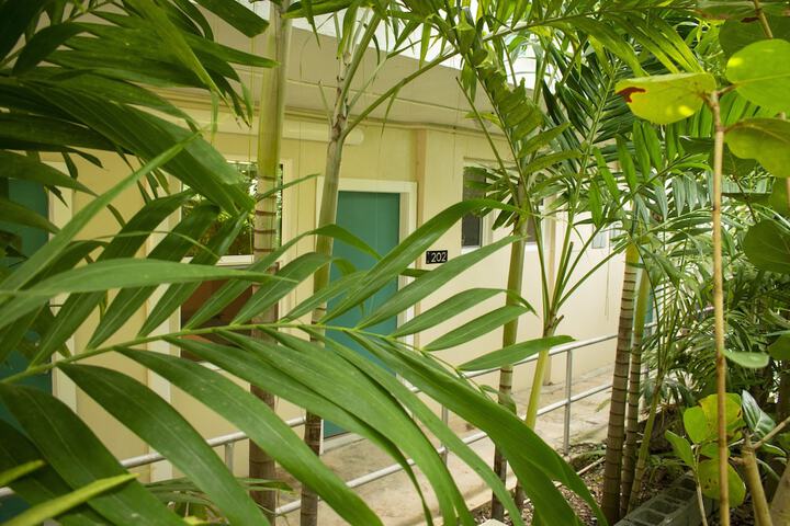 Hotel Exterior 50 of 57