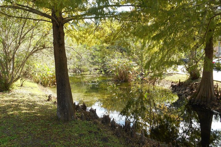 Property Grounds 40 of 49