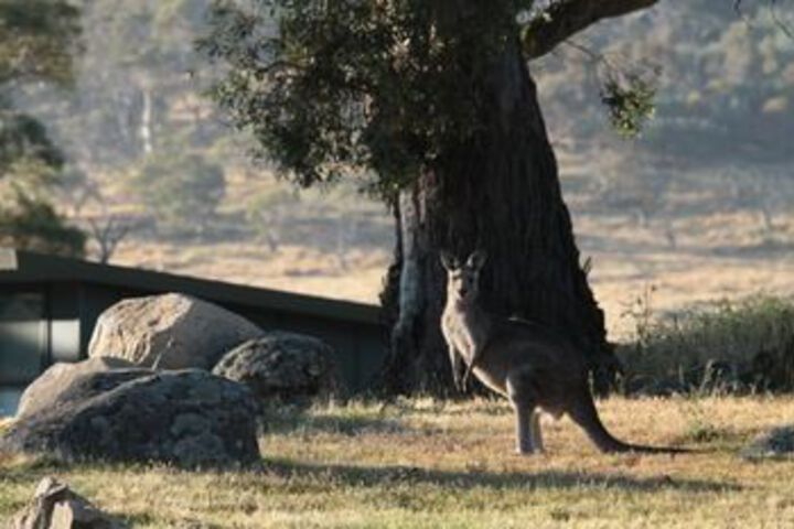 Property Grounds 13 of 13