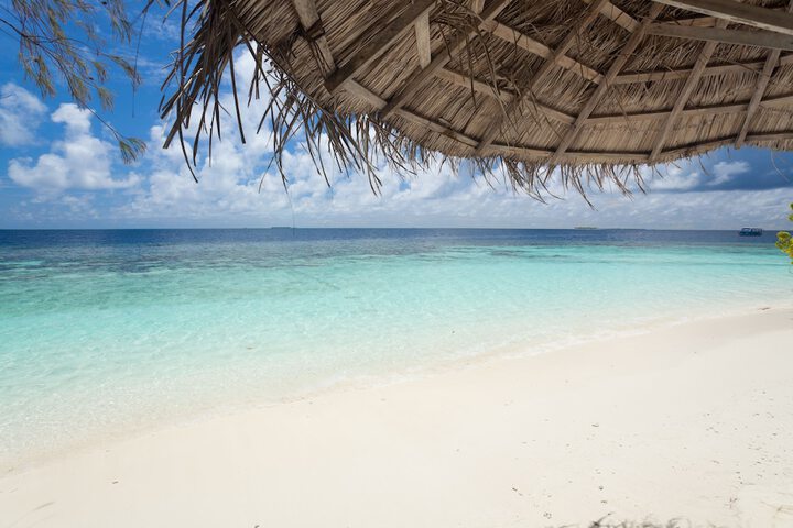 Beach 54 of 69
