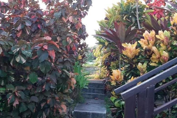 Property Grounds 26 of 47
