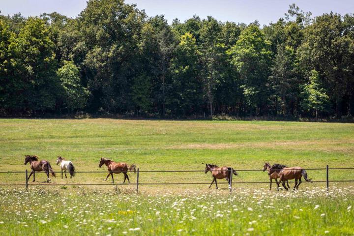 Fitness Facility Photos