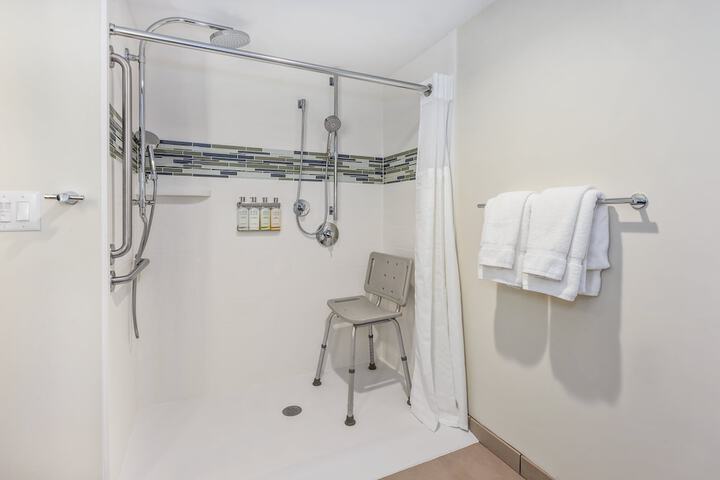 1 King Bed Accessible (7 of 16)