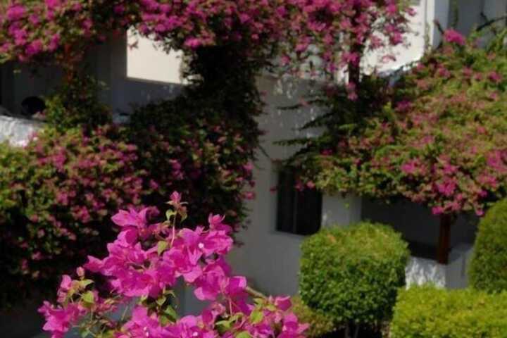 Hotel Entry