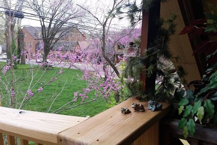 Hotel Interior 38 of 88