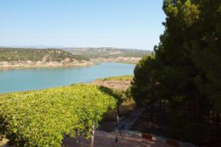 Photo of Alcanacia