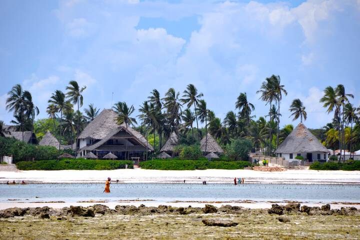 Beach 105 of 137