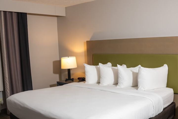 1 King Bed Accessible (5 of 13)