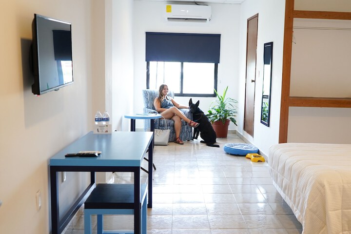 Room 19 of 48