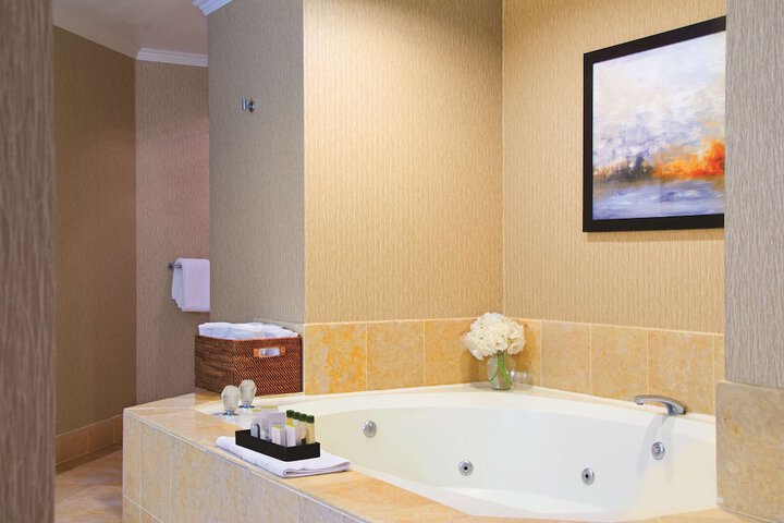 1 King Bed Mobility Accessible with Bathtub (23 of 32)