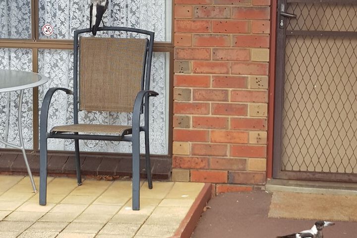 Terrace/Patio 64 of 116