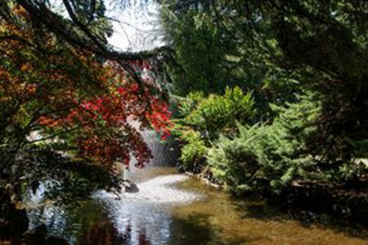 Property Grounds 16 of 34