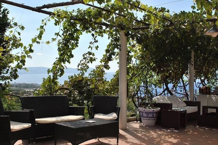Terrace/Patio 56 of 70