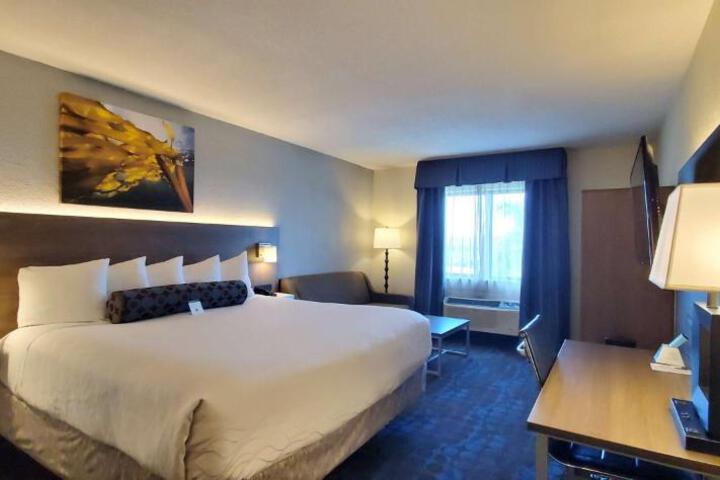 1 King Bed (4 of 9)