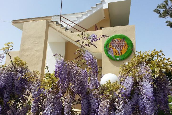 Hotel 49 of 51