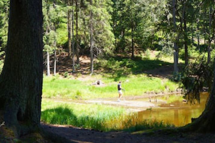Hiking