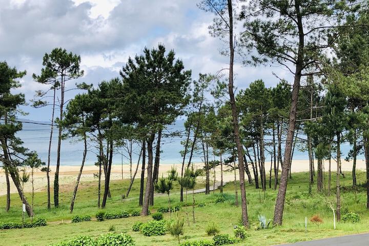Beach 124 of 136