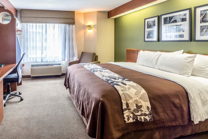 1 King Bed (8 of 15)