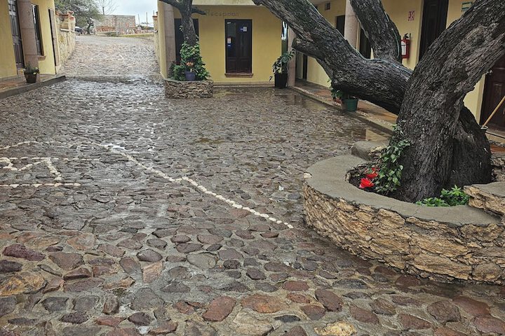Terrace/Patio 21 of 38