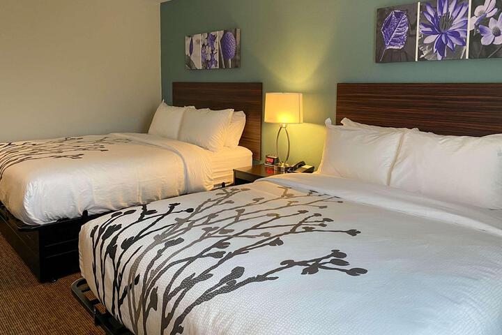 2 Queen Beds (2 of 7)