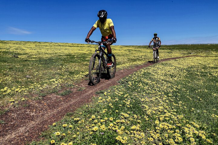 Outdoor Activities 53 of 72