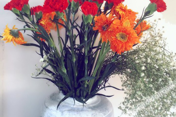General 18 of 44
