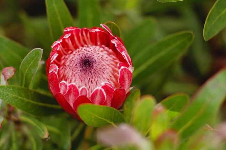 Hotel Exterior 2 of 19