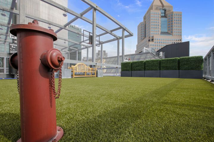 Pet Friendly 44 of 59