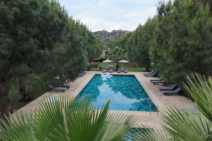 Pool 24 of 73