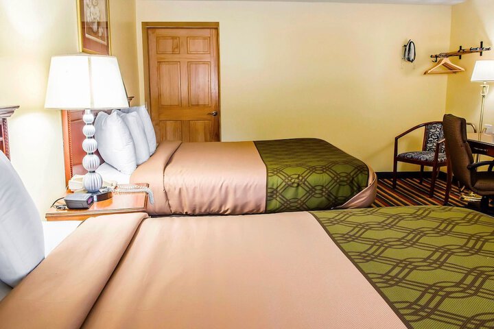2 Queen Beds (1 of 17)
