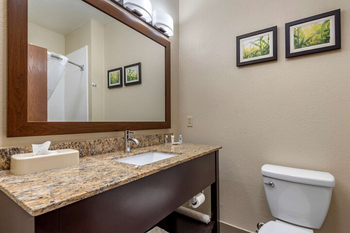 1 King Bed Suite (2 of 15)