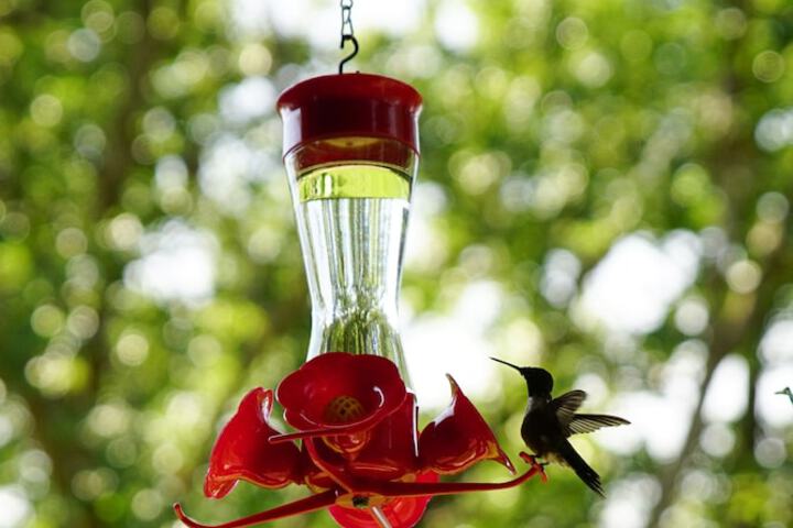 Terrace/Patio 29 of 36