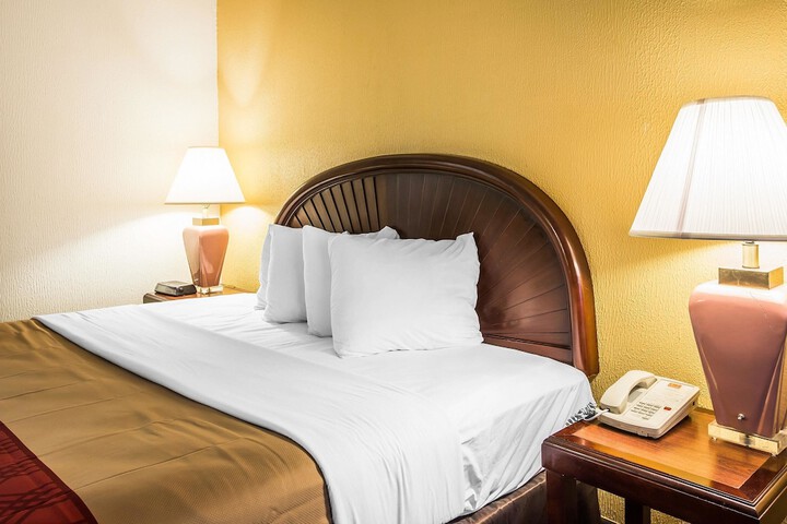 1 King Bed (1 of 9)
