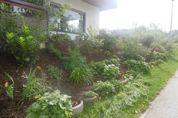 Property Grounds 16 of 20