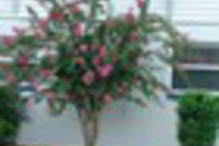 Property Grounds 182 of 207