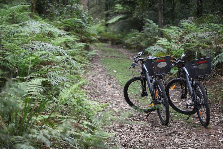 Bicycling