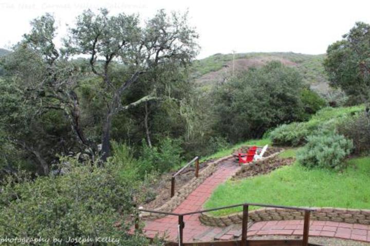 Photo 5