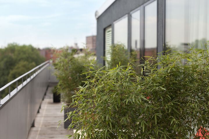 Terrace/Patio 31 of 52