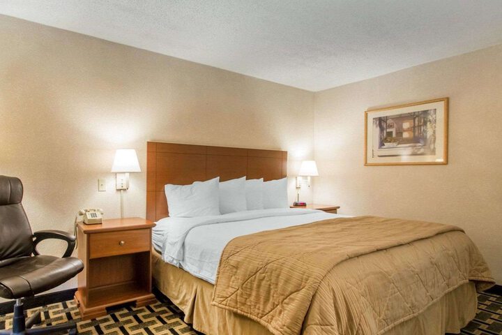 1 King Bed (5 of 9)