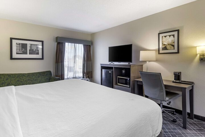 1 King Bed (7 of 11)