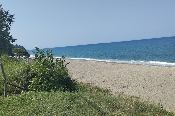 Beach 62 of 71