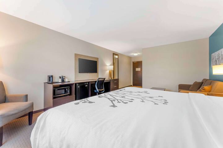 1 King Bed (3 of 20)