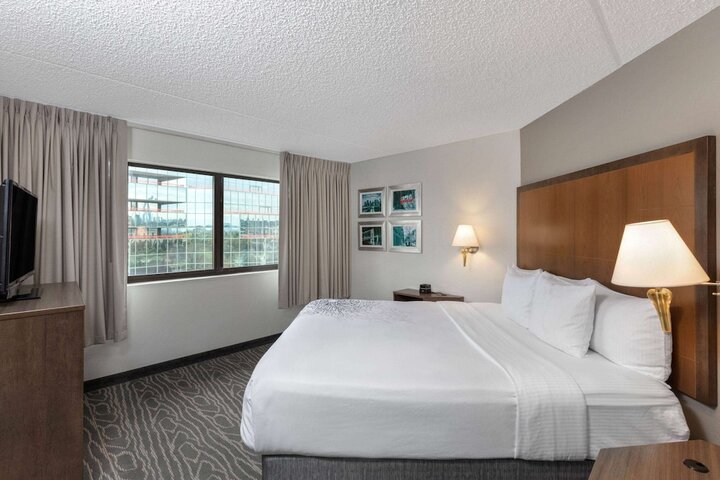 1 King Bed 1 Bedroom Suite (9 of 9)